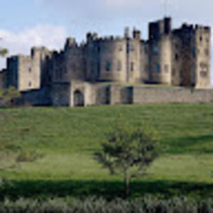 Meet your Posher, Kelli